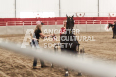 ete's Photography - Equine photography of various equine events at the Ancaster Fair including riding, driving, single carts and six draft horse hitches.