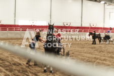 ete's Photography - Equine photography of various equine events at the Ancaster Fair including riding, driving, single carts and six draft horse hitches.