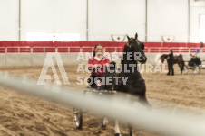 ete's Photography - Equine photography of various equine events at the Ancaster Fair including riding, driving, single carts and six draft horse hitches.