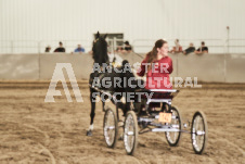 ete's Photography - Equine photography of various equine events at the Ancaster Fair including riding, driving, single carts and six draft horse hitches.