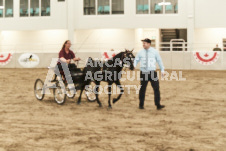 ete's Photography - Equine photography of various equine events at the Ancaster Fair including riding, driving, single carts and six draft horse hitches.