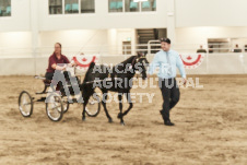 ete's Photography - Equine photography of various equine events at the Ancaster Fair including riding, driving, single carts and six draft horse hitches.