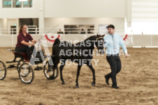 ete's Photography - Equine photography of various equine events at the Ancaster Fair including riding, driving, single carts and six draft horse hitches.