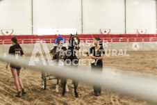 ete's Photography - Equine photography of various equine events at the Ancaster Fair including riding, driving, single carts and six draft horse hitches.