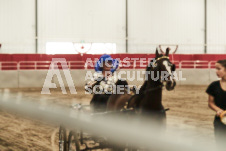 ete's Photography - Equine photography of various equine events at the Ancaster Fair including riding, driving, single carts and six draft horse hitches.