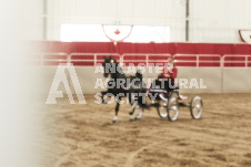 ete's Photography - Equine photography of various equine events at the Ancaster Fair including riding, driving, single carts and six draft horse hitches.