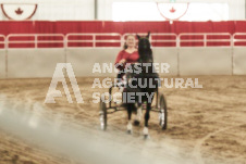 ete's Photography - Equine photography of various equine events at the Ancaster Fair including riding, driving, single carts and six draft horse hitches.