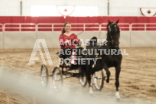 ete's Photography - Equine photography of various equine events at the Ancaster Fair including riding, driving, single carts and six draft horse hitches.