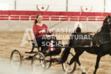 ete's Photography - Equine photography of various equine events at the Ancaster Fair including riding, driving, single carts and six draft horse hitches.