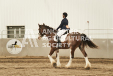 ete's Photography - Equine photography of various equine events at the Ancaster Fair including riding, driving, single carts and six draft horse hitches.