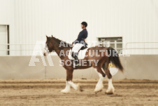 ete's Photography - Equine photography of various equine events at the Ancaster Fair including riding, driving, single carts and six draft horse hitches.