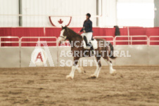 ete's Photography - Equine photography of various equine events at the Ancaster Fair including riding, driving, single carts and six draft horse hitches.