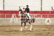 ete's Photography - Equine photography of various equine events at the Ancaster Fair including riding, driving, single carts and six draft horse hitches.