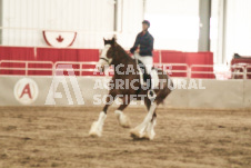 ete's Photography - Equine photography of various equine events at the Ancaster Fair including riding, driving, single carts and six draft horse hitches.