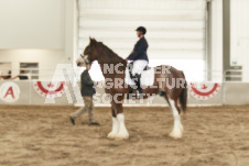 ete's Photography - Equine photography of various equine events at the Ancaster Fair including riding, driving, single carts and six draft horse hitches.