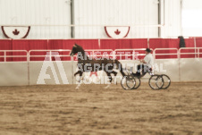 ete's Photography - Equine photography of various equine events at the Ancaster Fair including riding, driving, single carts and six draft horse hitches.