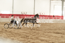 ete's Photography - Equine photography of various equine events at the Ancaster Fair including riding, driving, single carts and six draft horse hitches.