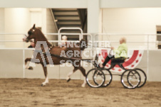 ete's Photography - Equine photography of various equine events at the Ancaster Fair including riding, driving, single carts and six draft horse hitches.