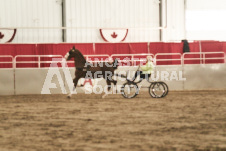 ete's Photography - Equine photography of various equine events at the Ancaster Fair including riding, driving, single carts and six draft horse hitches.