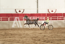 ete's Photography - Equine photography of various equine events at the Ancaster Fair including riding, driving, single carts and six draft horse hitches.