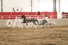 ete's Photography - Equine photography of various equine events at the Ancaster Fair including riding, driving, single carts and six draft horse hitches.