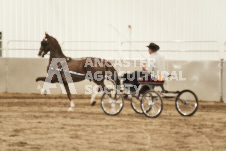 ete's Photography - Equine photography of various equine events at the Ancaster Fair including riding, driving, single carts and six draft horse hitches.