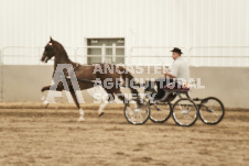 ete's Photography - Equine photography of various equine events at the Ancaster Fair including riding, driving, single carts and six draft horse hitches.