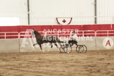 ete's Photography - Equine photography of various equine events at the Ancaster Fair including riding, driving, single carts and six draft horse hitches.