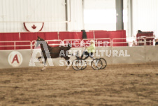 ete's Photography - Equine photography of various equine events at the Ancaster Fair including riding, driving, single carts and six draft horse hitches.