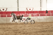 ete's Photography - Equine photography of various equine events at the Ancaster Fair including riding, driving, single carts and six draft horse hitches.