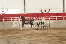 ete's Photography - Equine photography of various equine events at the Ancaster Fair including riding, driving, single carts and six draft horse hitches.