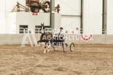 ete's Photography - Equine photography of various equine events at the Ancaster Fair including riding, driving, single carts and six draft horse hitches.