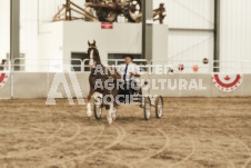 ete's Photography - Equine photography of various equine events at the Ancaster Fair including riding, driving, single carts and six draft horse hitches.