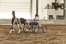 ete's Photography - Equine photography of various equine events at the Ancaster Fair including riding, driving, single carts and six draft horse hitches.