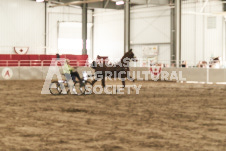 ete's Photography - Equine photography of various equine events at the Ancaster Fair including riding, driving, single carts and six draft horse hitches.