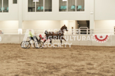 ete's Photography - Equine photography of various equine events at the Ancaster Fair including riding, driving, single carts and six draft horse hitches.