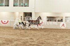 ete's Photography - Equine photography of various equine events at the Ancaster Fair including riding, driving, single carts and six draft horse hitches.