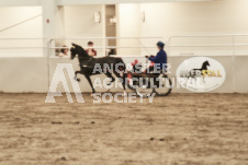 ete's Photography - Equine photography of various equine events at the Ancaster Fair including riding, driving, single carts and six draft horse hitches.