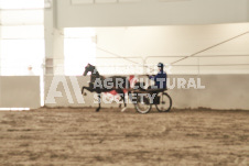 ete's Photography - Equine photography of various equine events at the Ancaster Fair including riding, driving, single carts and six draft horse hitches.