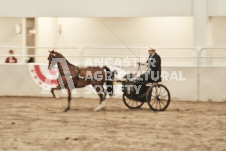 ete's Photography - Equine photography of various equine events at the Ancaster Fair including riding, driving, single carts and six draft horse hitches.