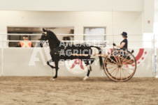 ete's Photography - Equine photography of various equine events at the Ancaster Fair including riding, driving, single carts and six draft horse hitches.