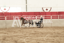 ete's Photography - Equine photography of various equine events at the Ancaster Fair including riding, driving, single carts and six draft horse hitches.