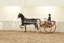 ete's Photography - Equine photography of various equine events at the Ancaster Fair including riding, driving, single carts and six draft horse hitches.