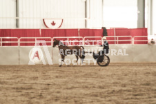 ete's Photography - Equine photography of various equine events at the Ancaster Fair including riding, driving, single carts and six draft horse hitches.