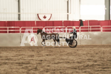 ete's Photography - Equine photography of various equine events at the Ancaster Fair including riding, driving, single carts and six draft horse hitches.