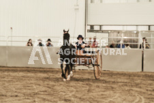 ete's Photography - Equine photography of various equine events at the Ancaster Fair including riding, driving, single carts and six draft horse hitches.