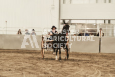 ete's Photography - Equine photography of various equine events at the Ancaster Fair including riding, driving, single carts and six draft horse hitches.