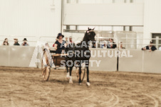 ete's Photography - Equine photography of various equine events at the Ancaster Fair including riding, driving, single carts and six draft horse hitches.