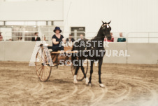 ete's Photography - Equine photography of various equine events at the Ancaster Fair including riding, driving, single carts and six draft horse hitches.