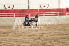 ete's Photography - Equine photography of various equine events at the Ancaster Fair including riding, driving, single carts and six draft horse hitches.